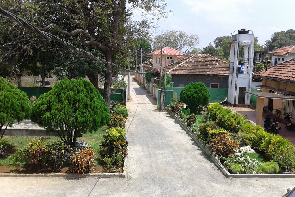 the gardens