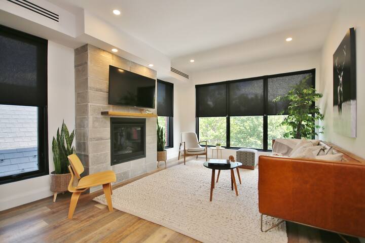 Penthouse Living! Luxury Home Heart of Downtown gallery image 4