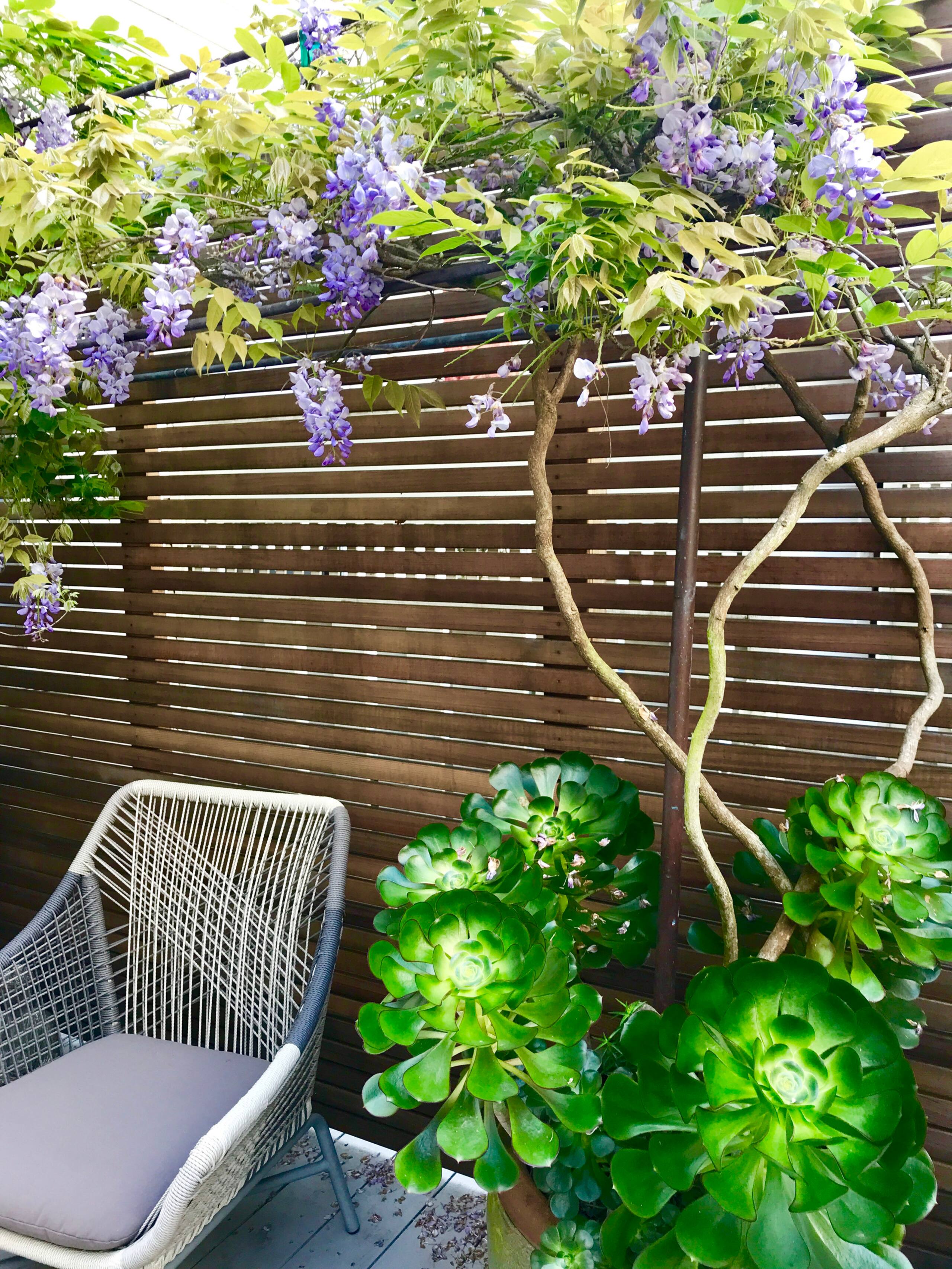 Condo in San Francisco · ★4.95 · 3 bedrooms · 3 beds · 2 baths - Image 29