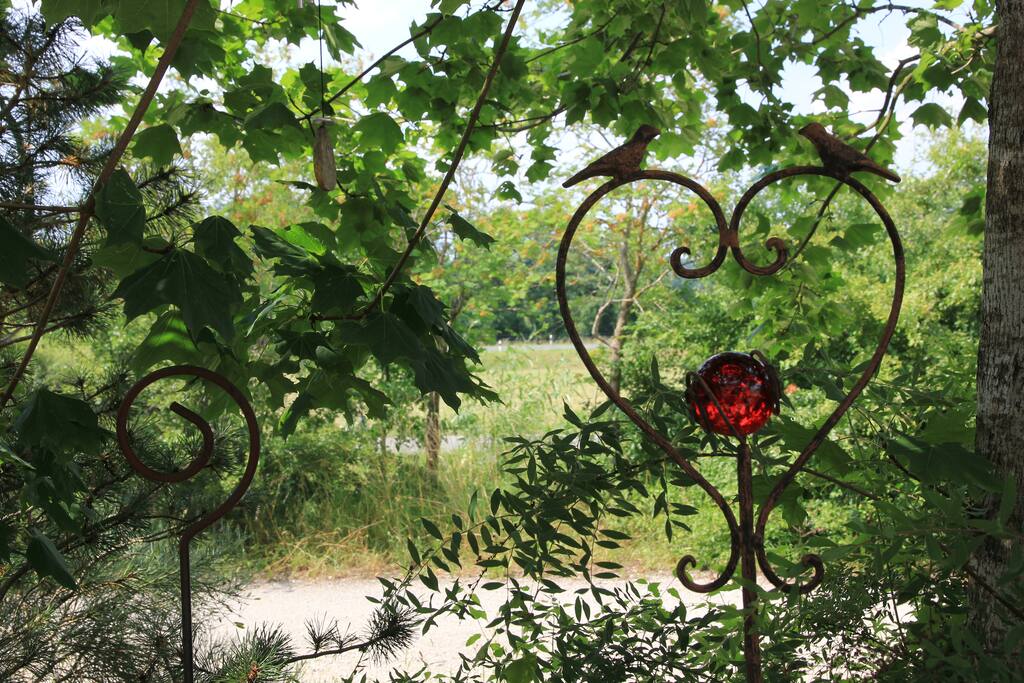 Direkt hinter dem Haus ist der Feldweg