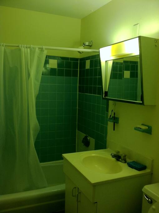 Clean and comfortable washroom/bathroom