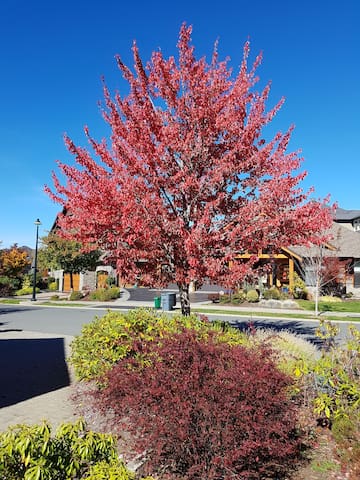 Exclusive family home at bear mountain for 5 only. gallery image 3