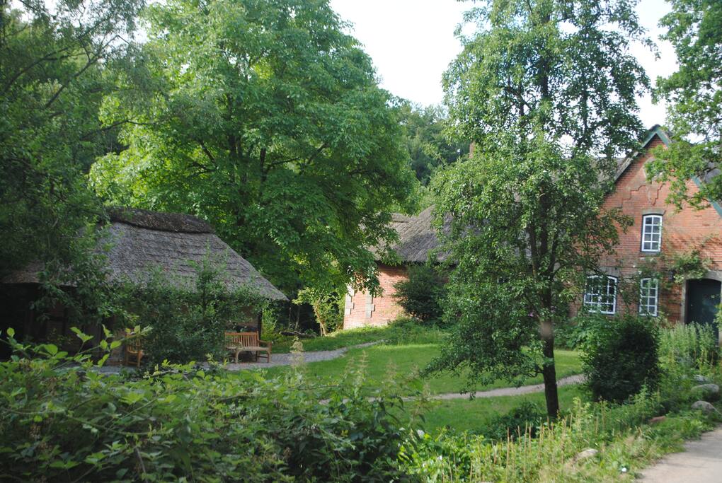 Unsere Hausbäume: Birne und Walnuss