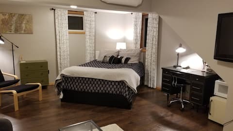Spacious guest suite (close to USD and downtown)
