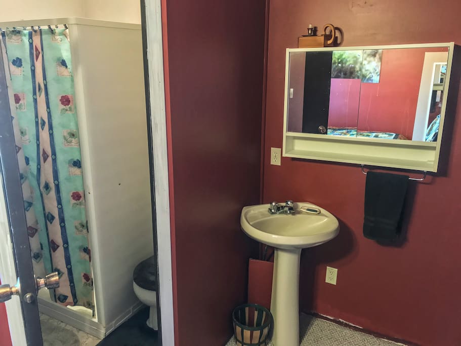 Private ensuite bathroom with shower