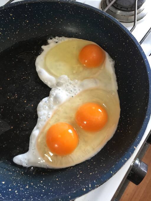 Fresh eggs collected daily from our happy chooks!