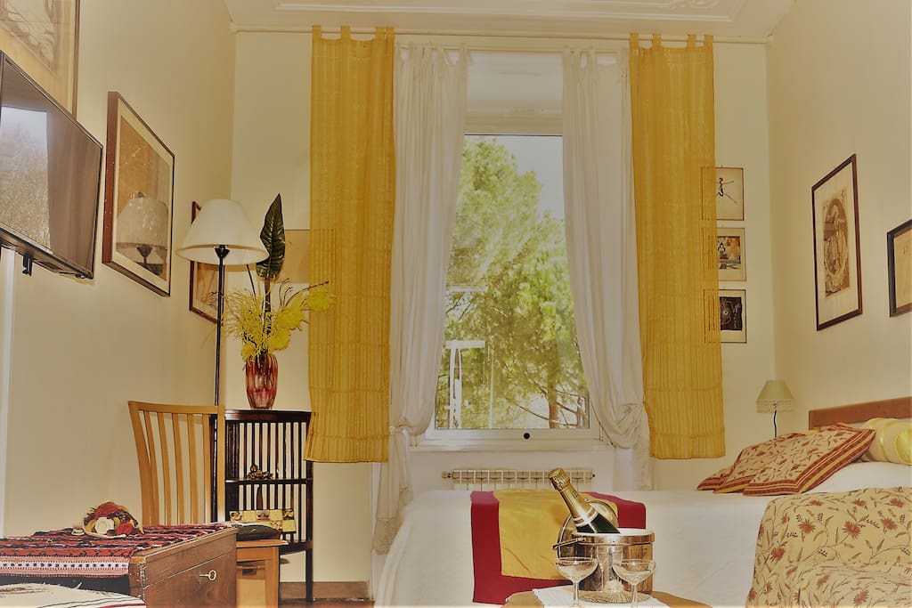 Bedrooms & window