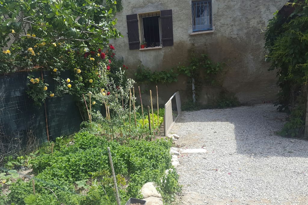 Petit jardin