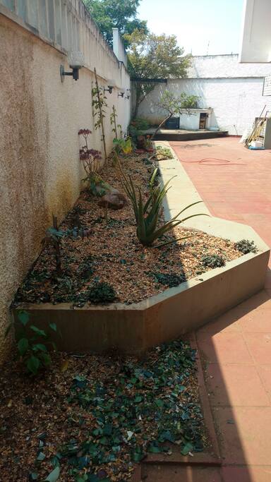 Jardim