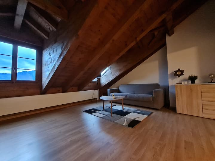 Thun Vacation Rentals & Homes Canton of Bern, Switzerland Airbnb