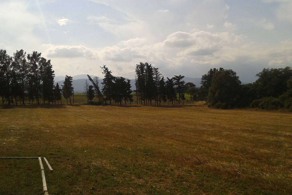 le terrain au calme
