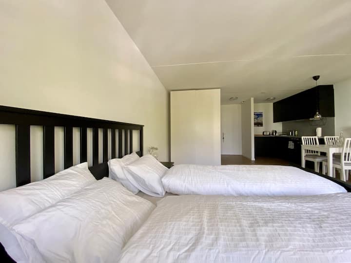 שפע של מקום, להתלבש, לישון, לאכול ולהירגע. אפשר לקבל בוקר חופשי וליהנות מהחדר. 