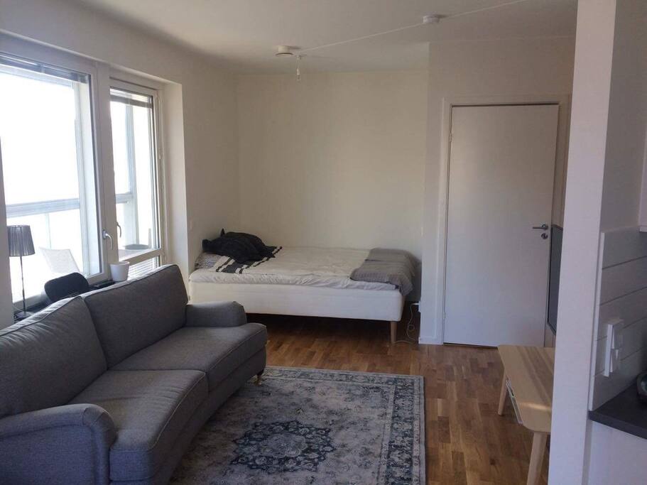 Living room/ bed