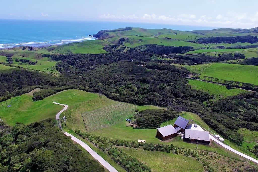 Birdseye view of the property