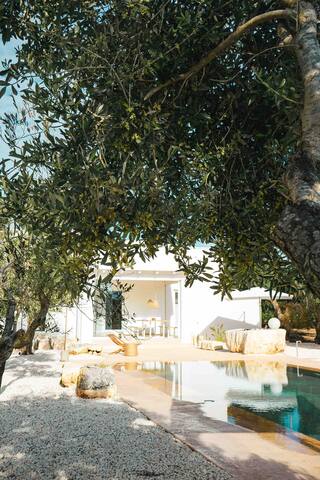 Splendida Villa con piscina a 10 minuti dal mare gallery image 3