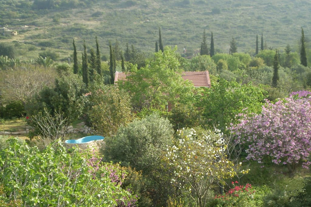 Villa Adama, the small pool and an endless landscape around