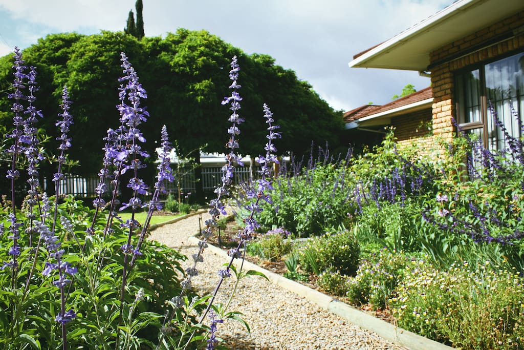 Garden View of Reception