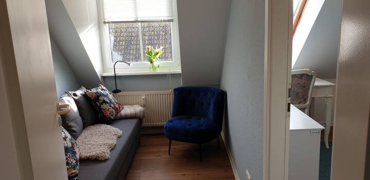 Спална соба 3 со кауч на спуштање