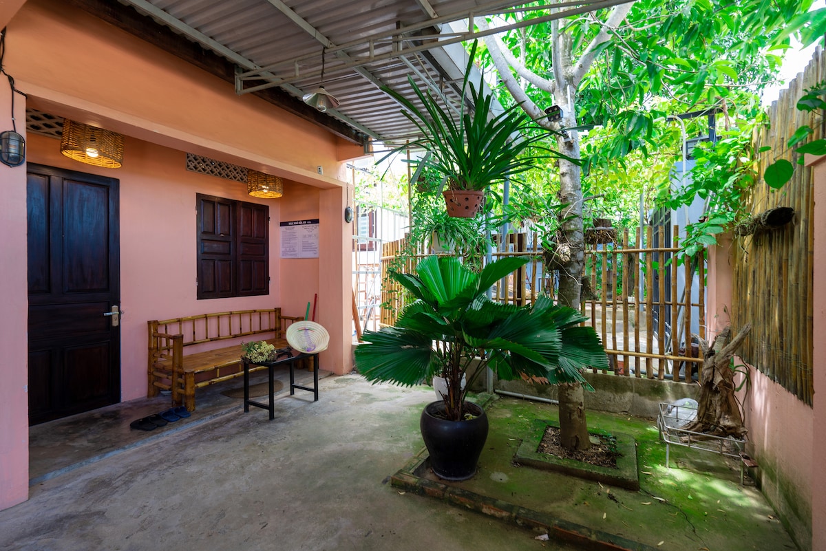 An outdoor area features a vibrant green garden with a variety of plants, including a large potted palm and a tree. Two wooden benches are situated against the wall of the pink structure, providing a relaxing space to enjoy the surroundings.