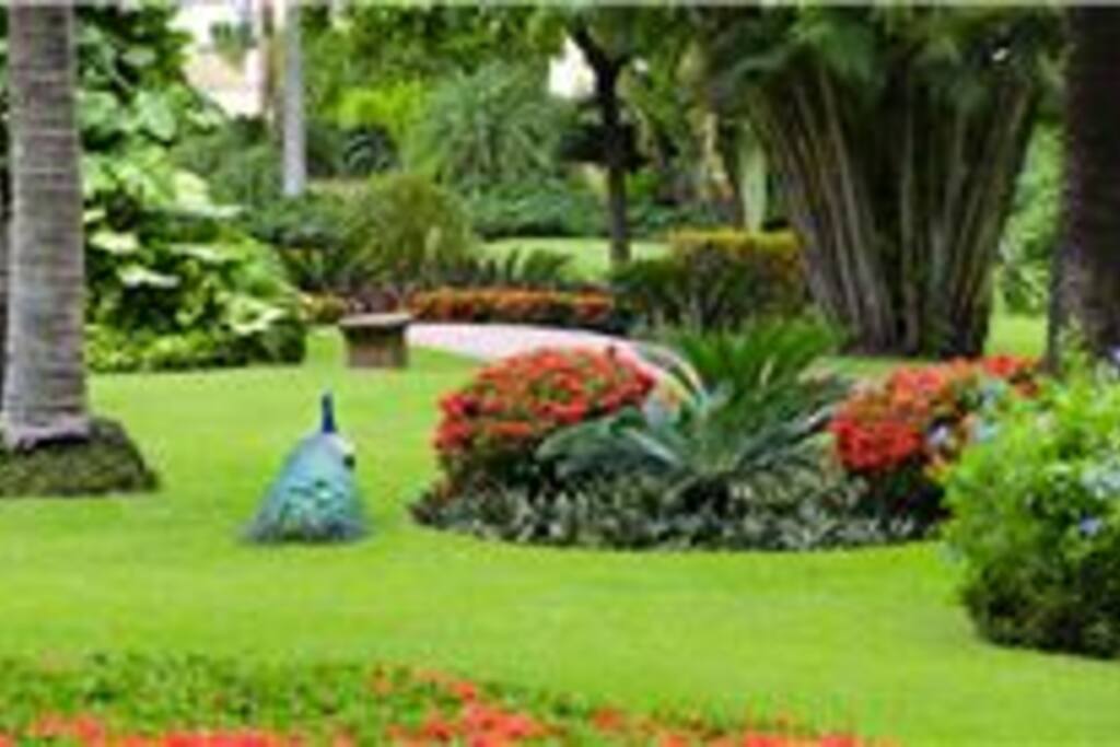 Gardens