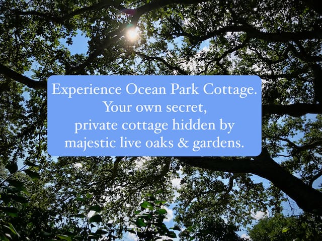 Ocean Park Cottage - Garden by Bay