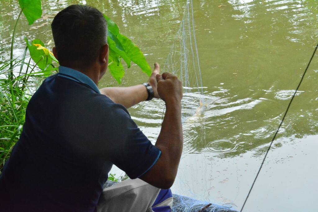 Fishing activity