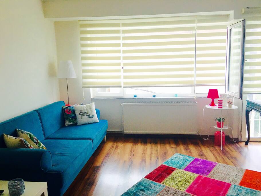 Living room with sofa. Two people can sleep