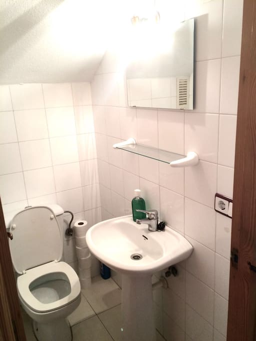 Downstairs toilet