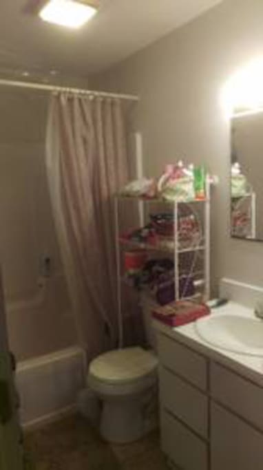 Shared bathroom with one other roommate