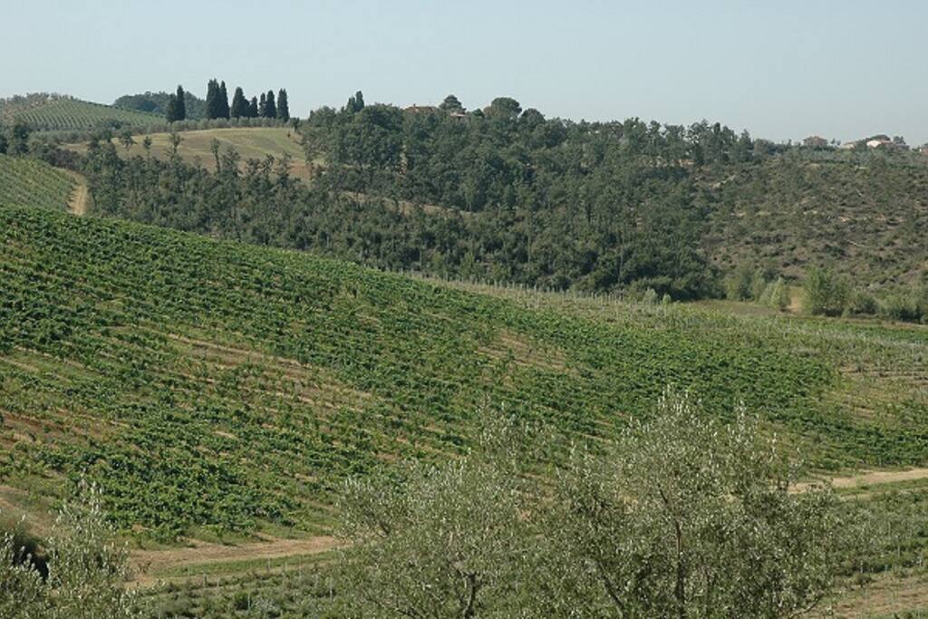Collina circostante