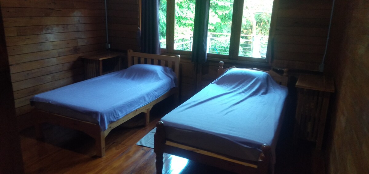 The room features two wooden twin beds with light purple bedding, positioned parallel to each other. Natural light enters through large windows adorned with dark curtains, complementing the warm wooden interior. Two wooden nightstands are placed on either side of the beds.