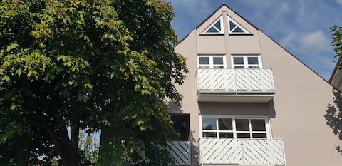 Top Airbnb: Königshalle vacation home with sauna and tiled stove in Bergstraße