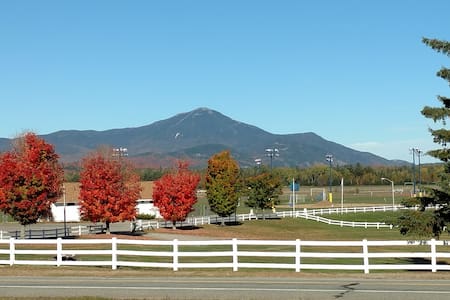 Cozy Apartment with Whiteface View