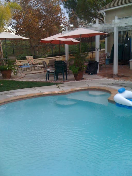 Back Yard Pool