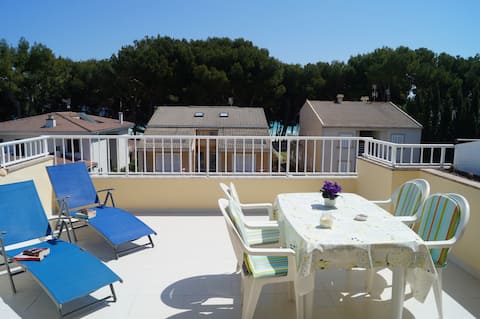 GINESTA II - Penthouse at 50 meters from the beach