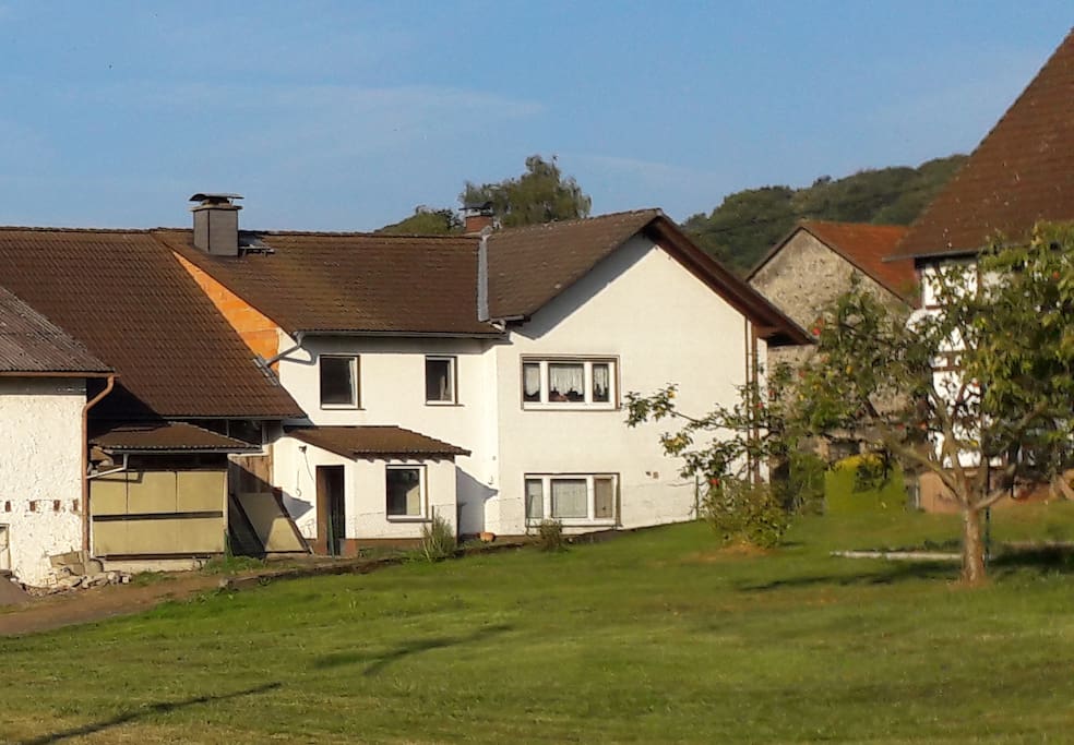 Pferdehof