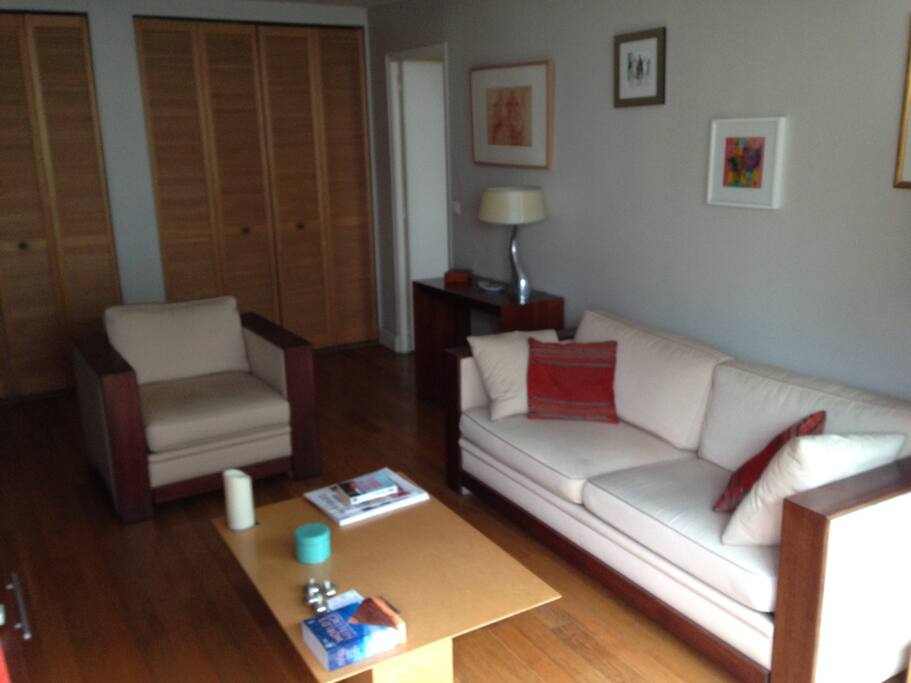 Salon avec Canapé lit 2 places / Main Room with Sofa Double bed