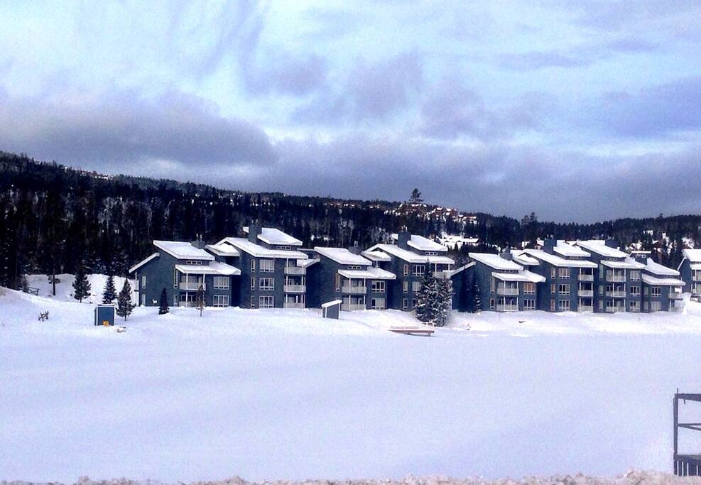 Lake Condos (and frozen lake)