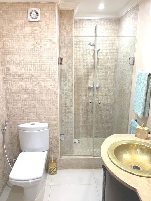 Salle de bains / Bathroom
Remarque / Remark : toilette avec douchette pour nettoyage intime / toilet with hand shower for intimate cleaning.