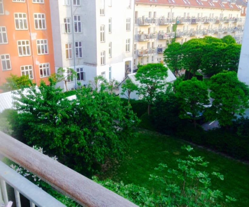View from the balcony