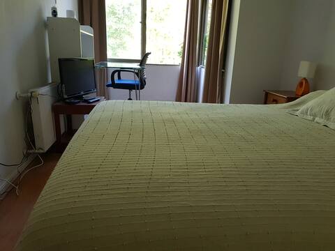 Spacious Room with Forest View
