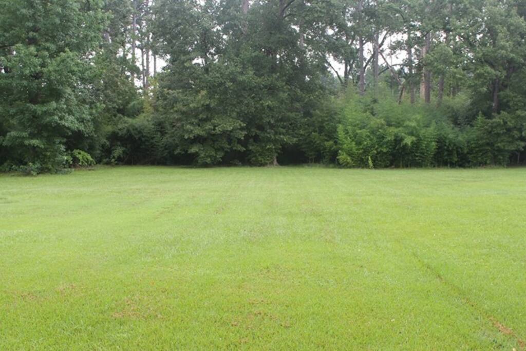 1 acre back yard {lawn service provided}