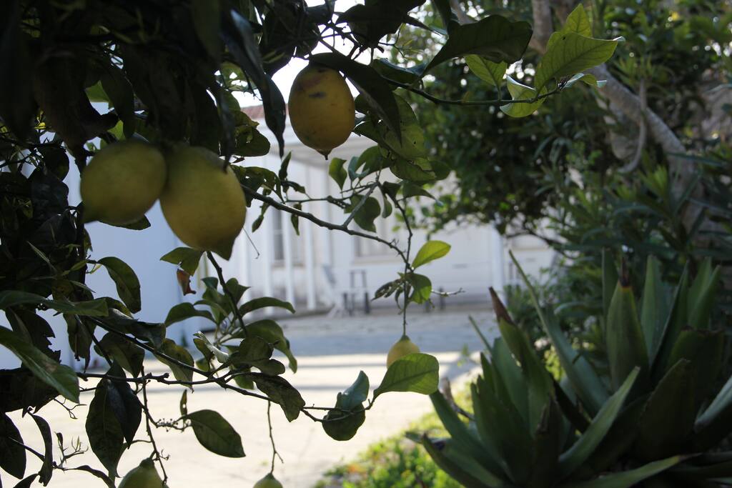 Dettaglio decorativo giardino