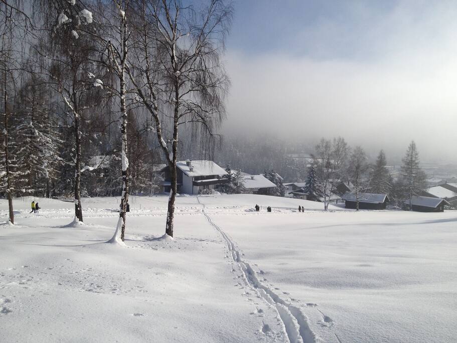 Aussicht von unserem Hausberg
auf Landhaus Elke