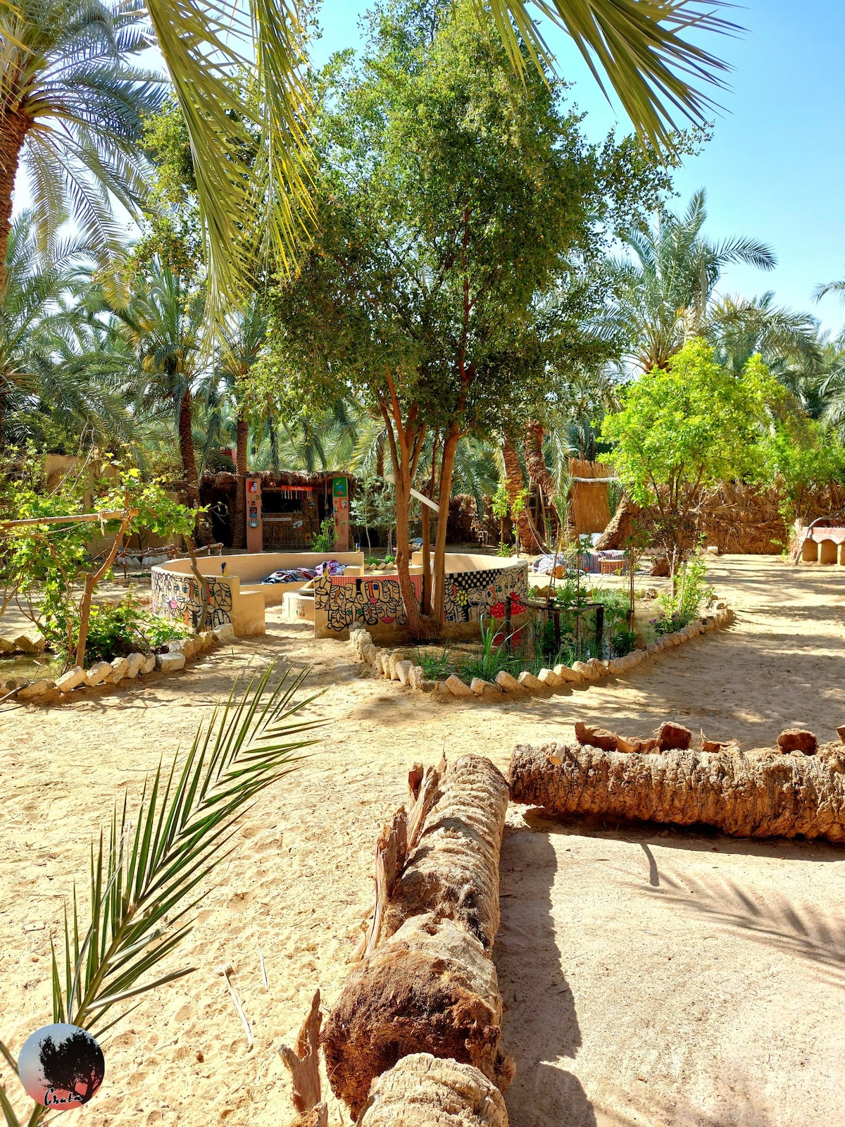 A serene garden area is surrounded by lush palm trees and greenery. A sandy path meanders through the landscape, leading to various plants and small seating areas, creating a peaceful outdoor environment. A rustic stone wall partially encloses the space.