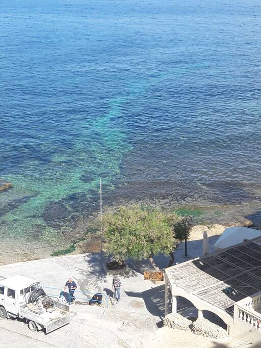 view from the back terrace