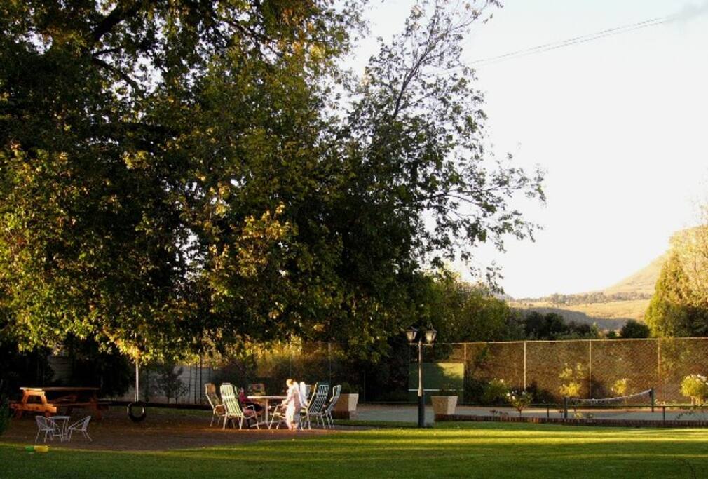 Under the Elm Tree