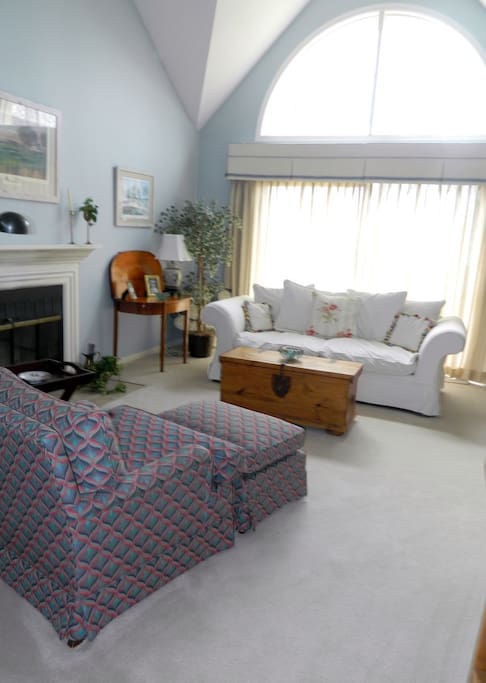 Living room with gas fireplace