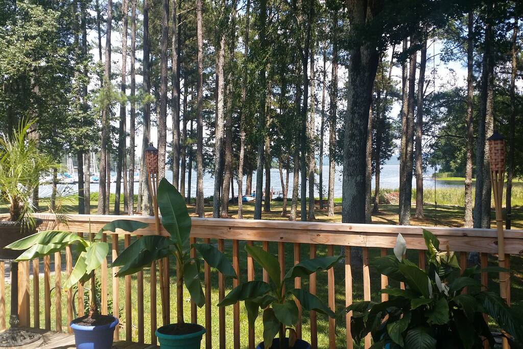 View from deck