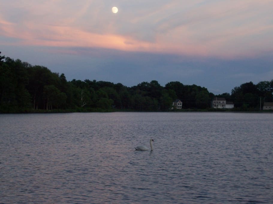 Serenity